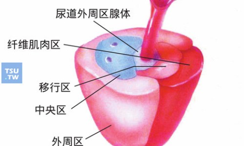 开胃健脾丸副作用和禁忌-【开胃健脾丸副作用】开胃健脾丸副作用有哪些 - 开胃健脾丸 副作用网