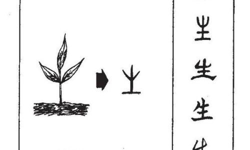 开胃健脾丸副作用和禁忌-【开胃健脾丸副作用】开胃健脾丸副作用有哪些 - 开胃健脾丸 副作用网