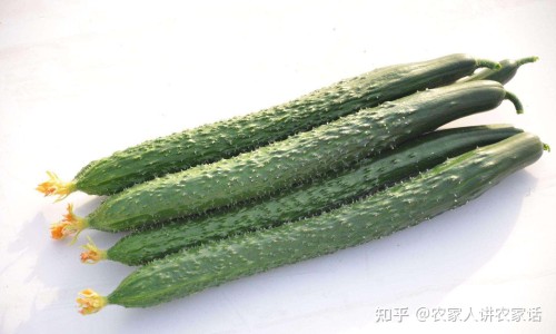 【开胃健脾丸副作用】开胃健脾丸副作用有哪些 - 开胃健脾丸 副作用网